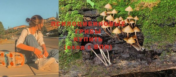 не бодяженный Аркадак
