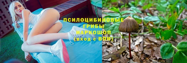 не бодяженный Аркадак